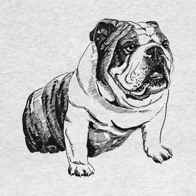 english bulldog by VicaVeresk